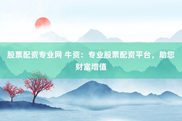 股票配資專業(yè)網(wǎng) 牛資：專業(yè)股票配資平臺，助您財富增值